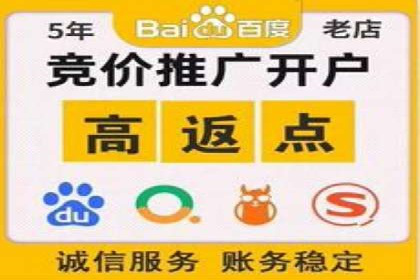 包年竞价技巧分享：案例解读高回报策略